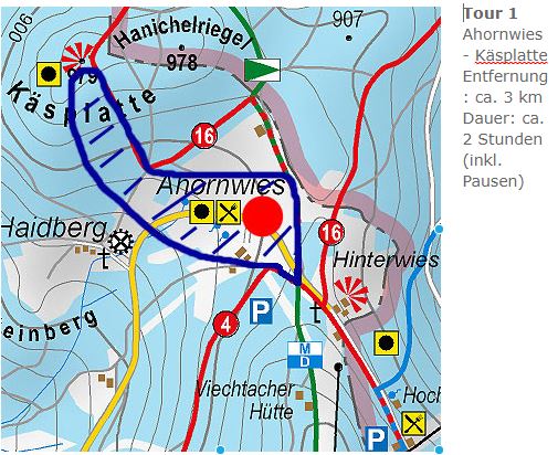 Schneeschuh-Wandern-Tour-1