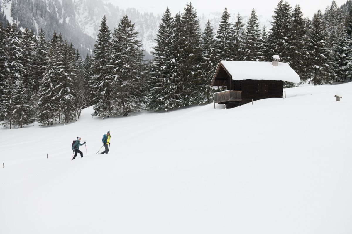 Schneeschuhwandern im Bayrischen Wald Schneeschuhwandern-im-Bayrischen-Wald